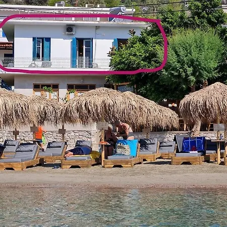 Big On The Appartement Tolón